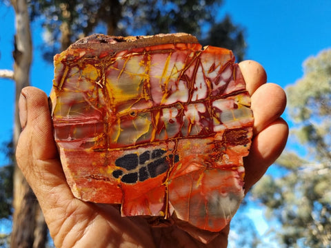 Sunset Jasper polished slab SU166