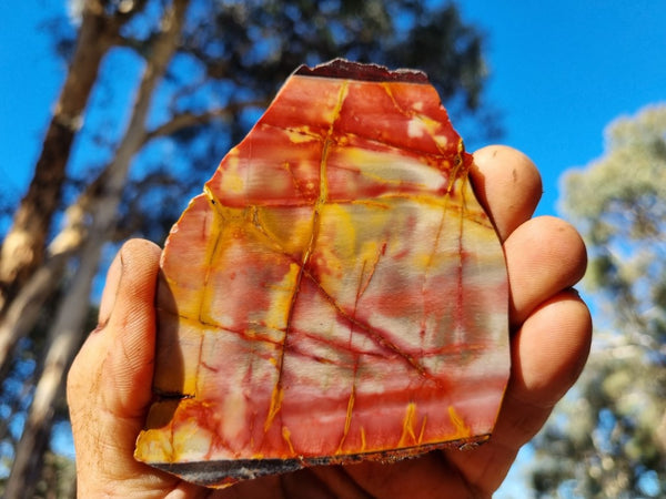 Sunset Jasper polished slab SU168