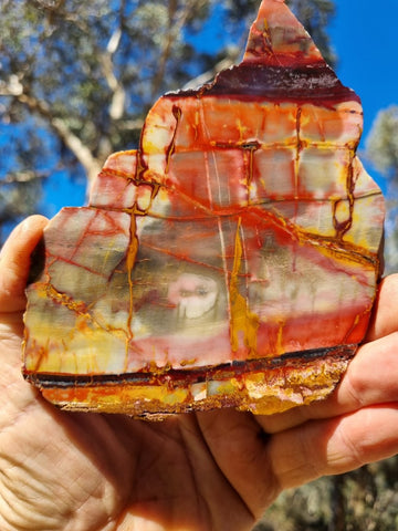 Sunset Jasper polished slab SU170