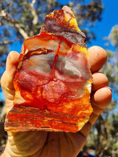 Sunset Jasper polished slab SU172