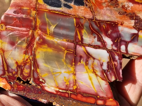 Sunset Jasper polished slab SU171