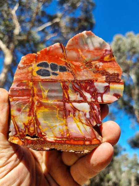 Sunset Jasper polished slab SU171