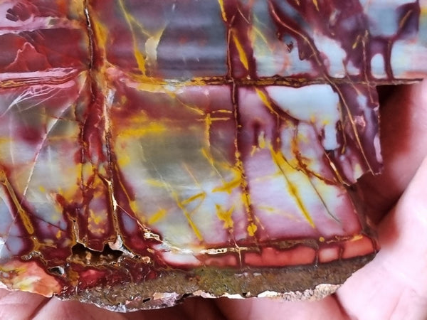 Sunset Jasper polished slab SU171