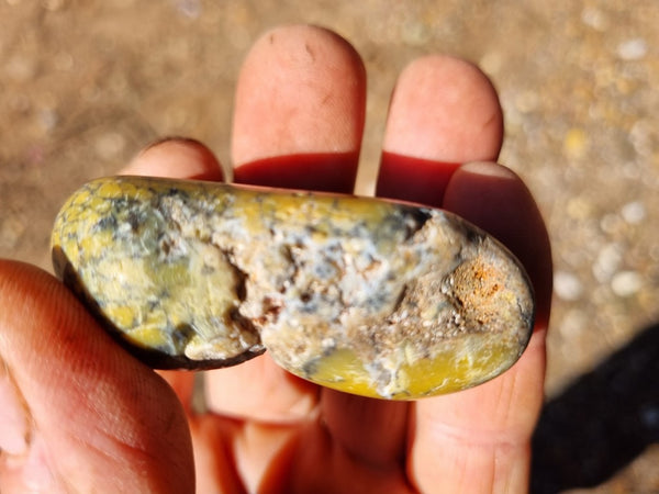 Tumble Polished Dendritic Opal DOT105