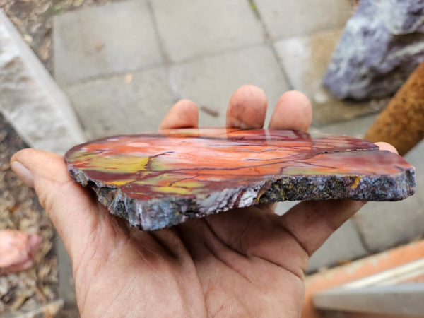 Polished Mookaite slab MK405