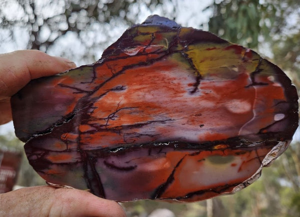 Polished Mookaite slab MK405