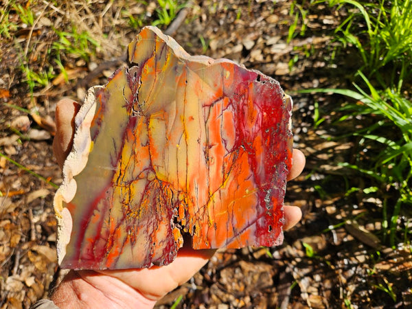 Polished Mookaite slab MK408