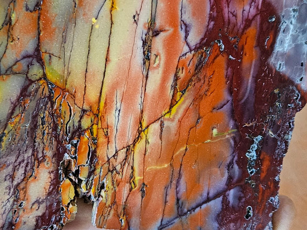 Polished Mookaite slab MK408