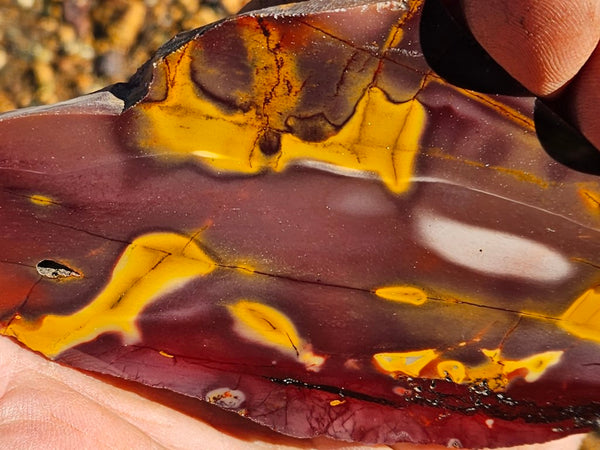 Polished Mookaite slab MK409