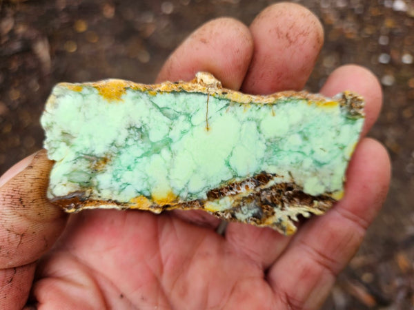 Polished Magnesite slab. MAP177