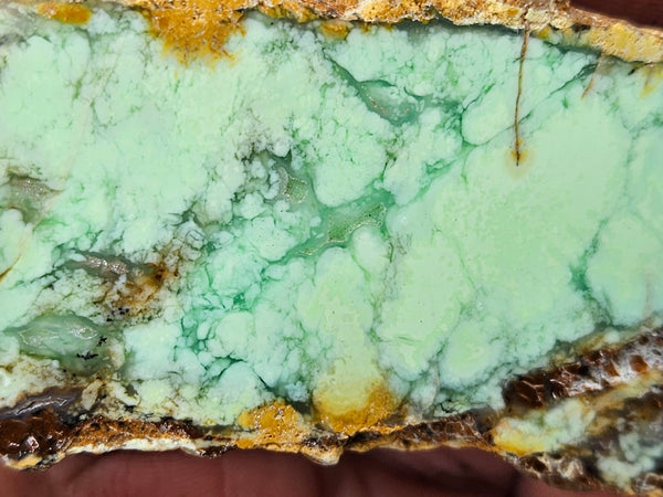 Polished Magnesite slab. MAP177