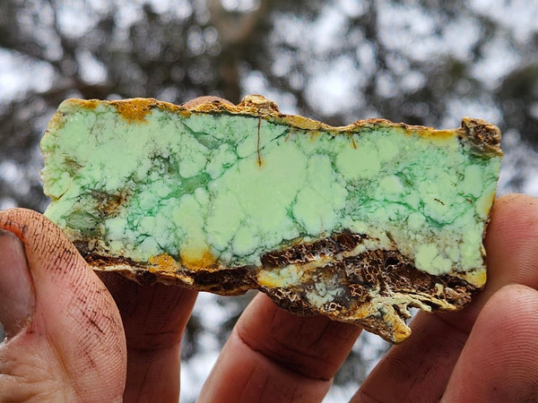 Polished Magnesite slab. MAP177