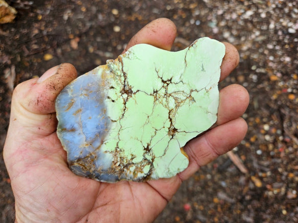 Polished Magnesite slab. MAP178