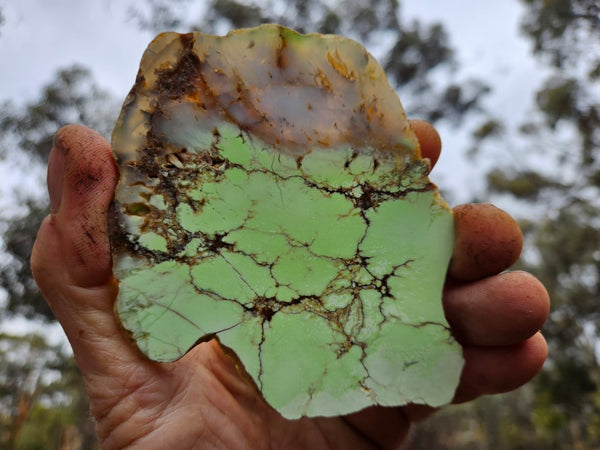 Polished Magnesite slab. MAP178