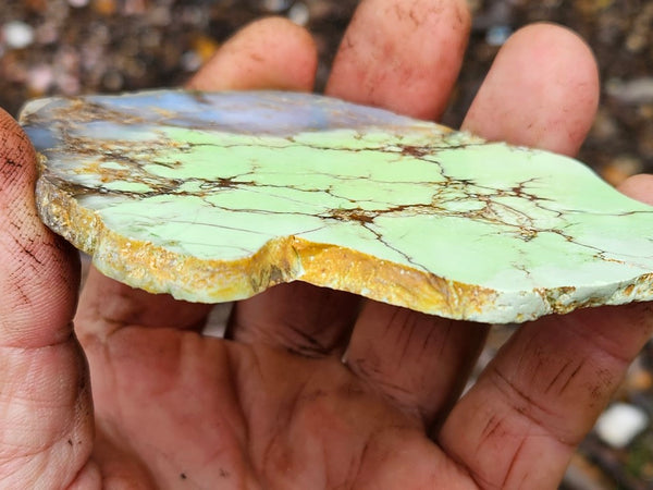 Polished Magnesite slab. MAP178