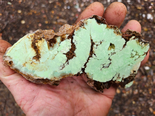 Polished Magnesite slab. MAP179