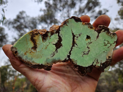 Polished Magnesite slab. MAP179