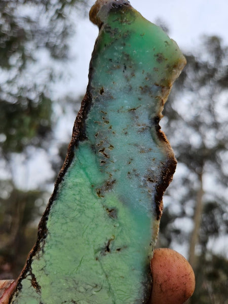 Polished Magnesite slab. MAP176