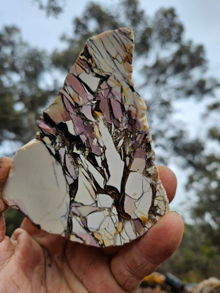 Polished Brecciated Mookaite rock BM295