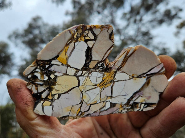 Polished Brecciated Mookaite slab BM296