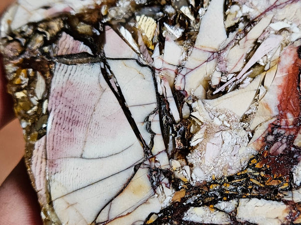 Polished Brecciated Mookaite slab BM297