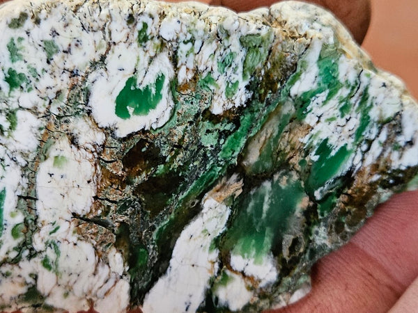 Polished Magnesite slab. MAP181