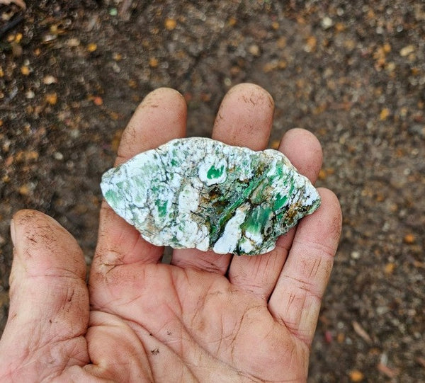 Polished Magnesite slab. MAP181