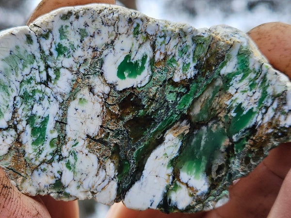 Polished Magnesite slab. MAP181