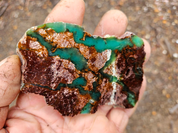 Polished Chrysoprase slab CH448