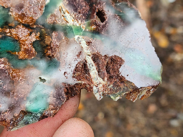 Polished Chrysoprase slab CH448