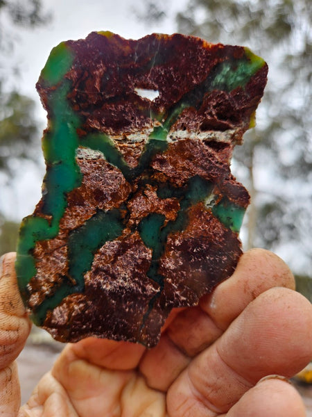 Polished Chrysoprase slab CH448