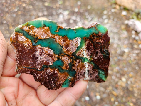 Polished Chrysoprase slab CH448