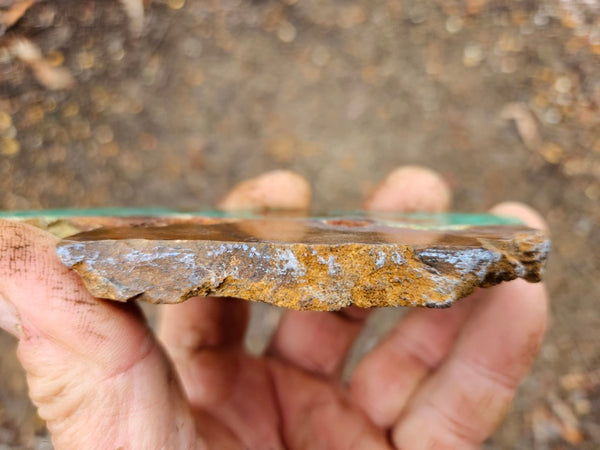 Polished Chrysoprase slab CH449