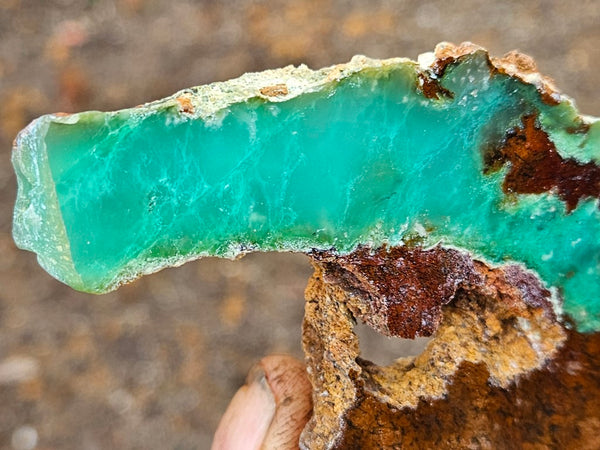 Polished Chrysoprase slab CH449