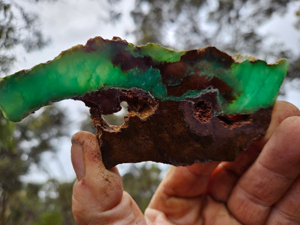 Polished Chrysoprase slab CH449