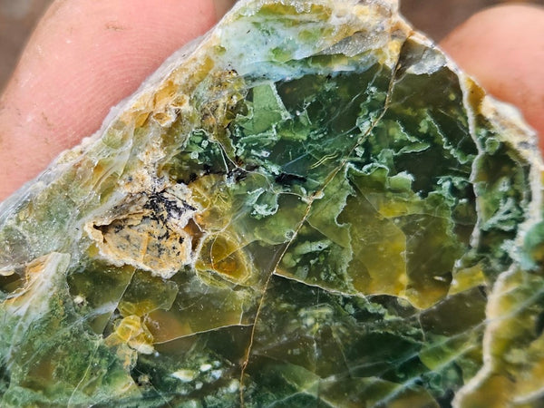Polished Green Opal slab GRN97.