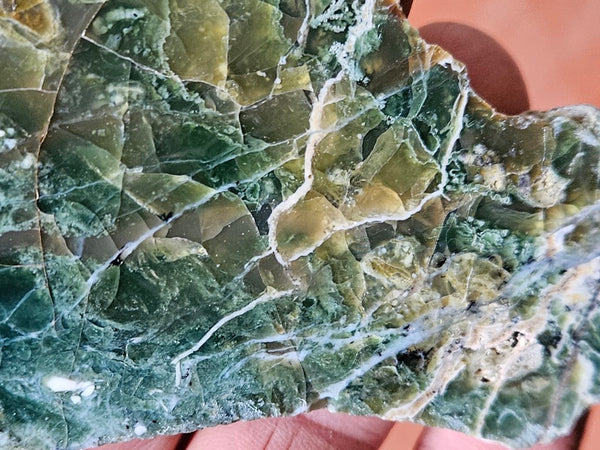 Polished Green Opal slab GRN97.
