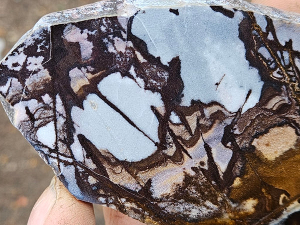 Polished Outback Jasper slab OJ168