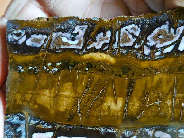 Polished Outback Jasper slab OJ167