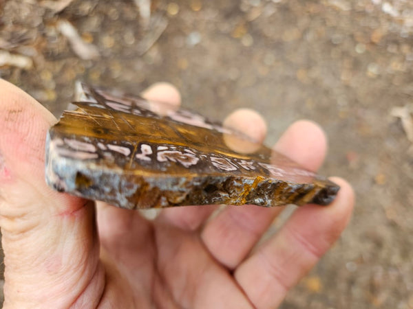 Polished Outback Jasper slab OJ167