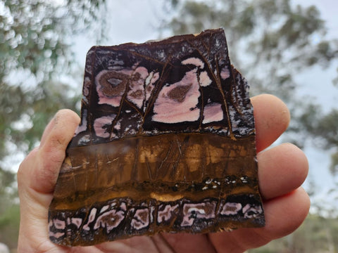 Polished Outback Jasper slab OJ167