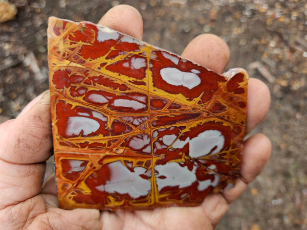 Polished Noreena Jasper slab. NJ445