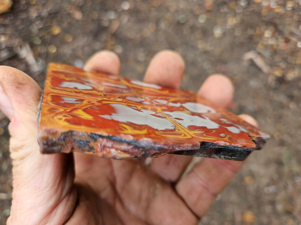 Polished Noreena Jasper slab. NJ445