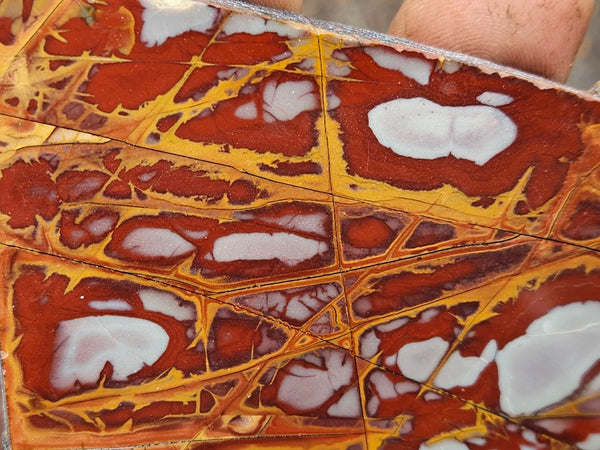 Polished Noreena Jasper slab. NJ445