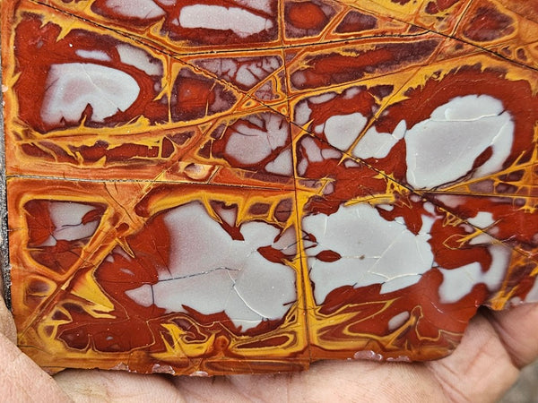 Polished Noreena Jasper slab. NJ445