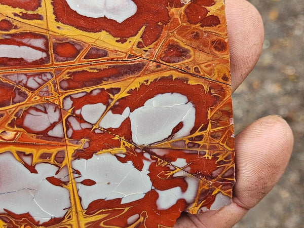 Polished Noreena Jasper slab. NJ445