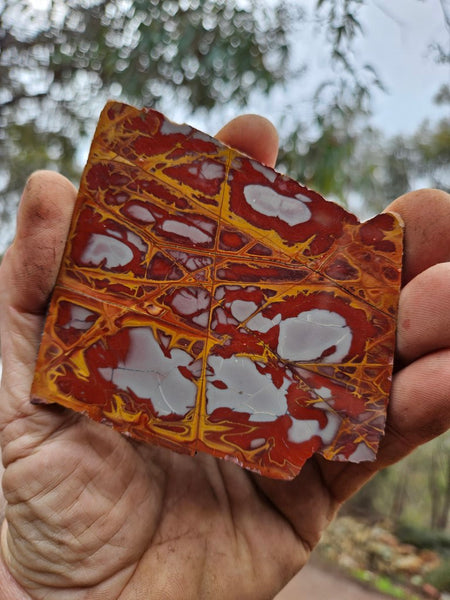 Polished Noreena Jasper slab. NJ445