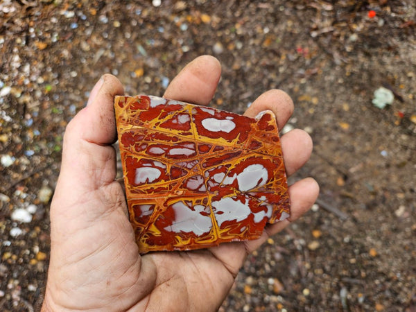 Polished Noreena Jasper slab. NJ445