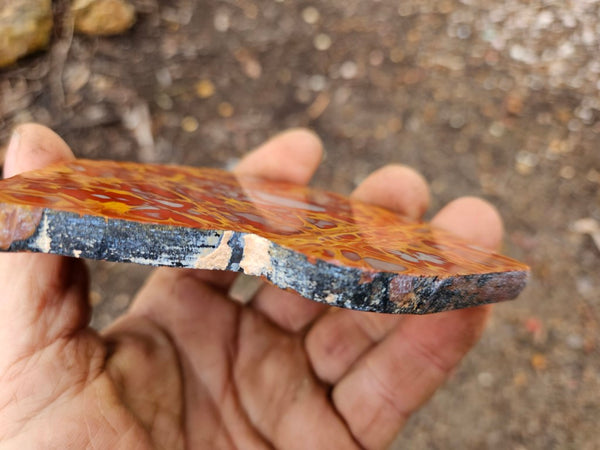 Polished Noreena Jasper slab. NJ447