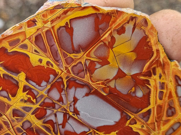 Polished Noreena Jasper slab. NJ447